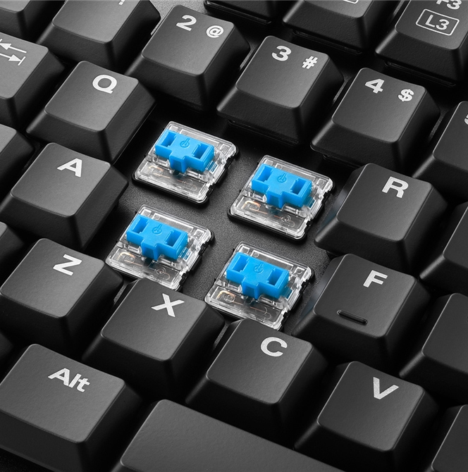 Die Kailh Blue Schalter der PureWriter TKL Blue.